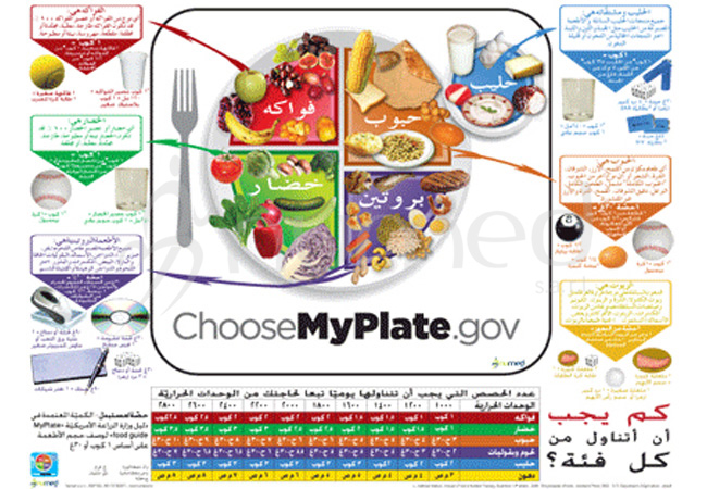 MyPlate Poster (Arabic)