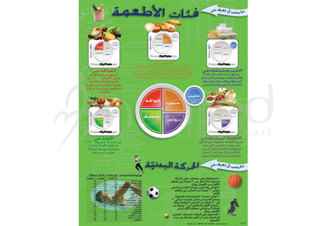 What You Should Know about Food Groups Poster (Arabic)