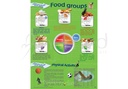 [ENP16ES] What You Should Know about Food Groups Poster (English)
