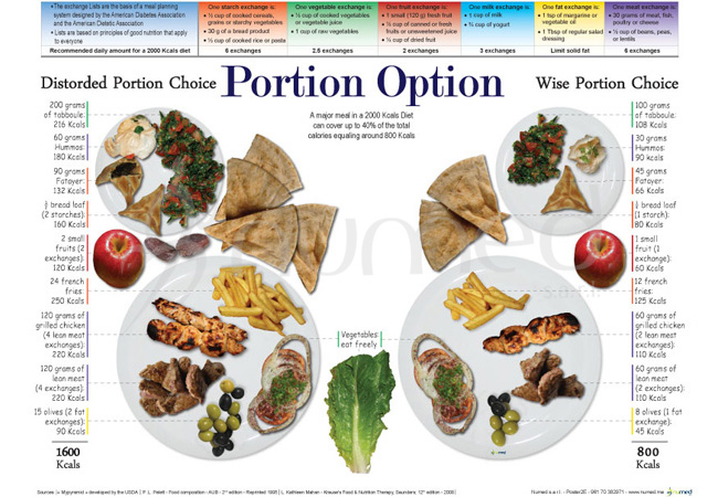 Portion Option Poster (English)