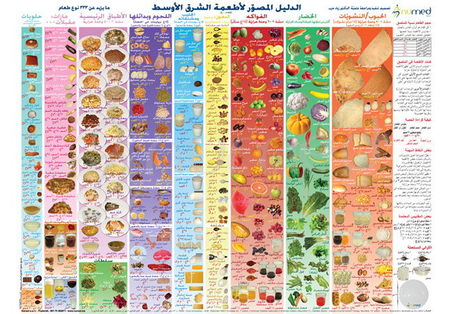 Middle East Visual Food Guide Poster (Arabic)-Pack of 20