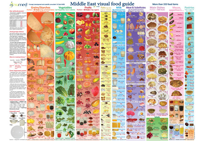 Middle East Visual Food Guide Poster (English)-Pack of 20