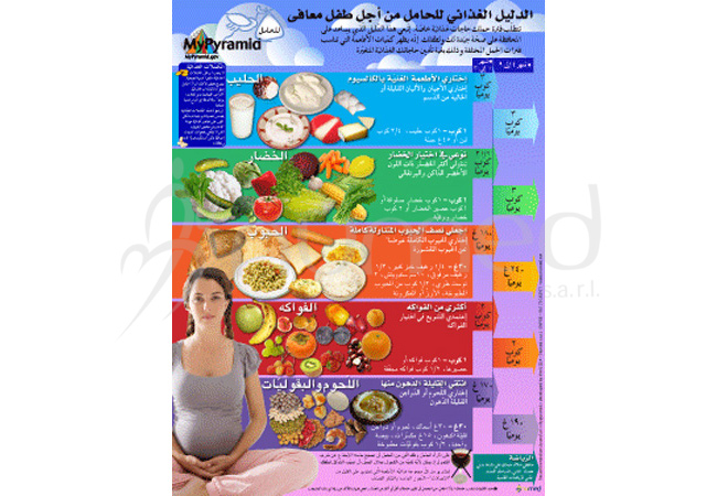 Pregnant Food Guide Poster (Arabic)