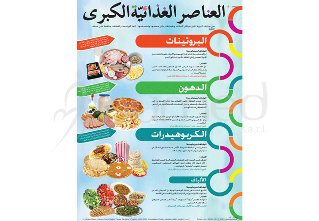 Macronutrients Poster (Arabic)