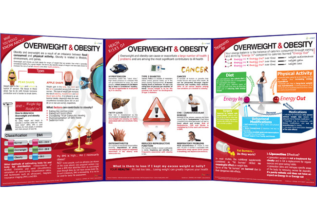 Obesity and Overweight Folding (English)