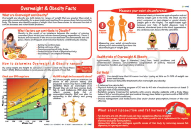 Obesity and BMI Handout - English