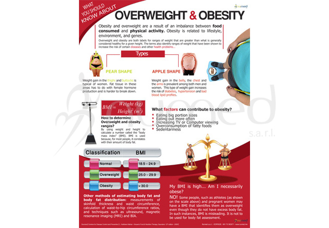 What You Should Know about Obesity Poster (English)