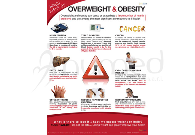 Consequences of Obesity Poster (English)
