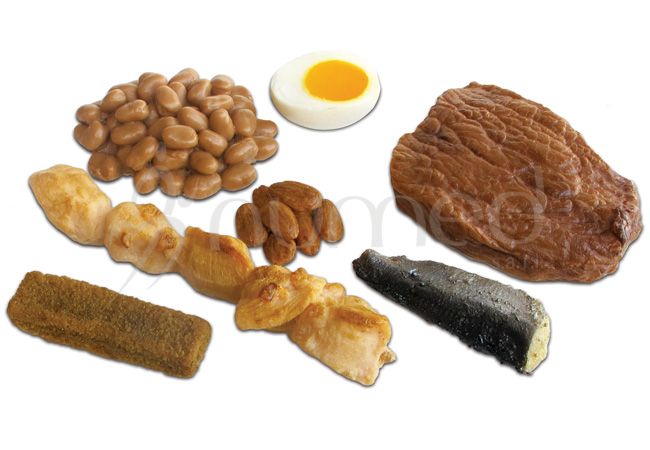 Basic Proteins Kit 