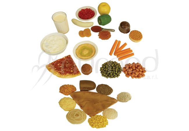 Carb Counting Kit