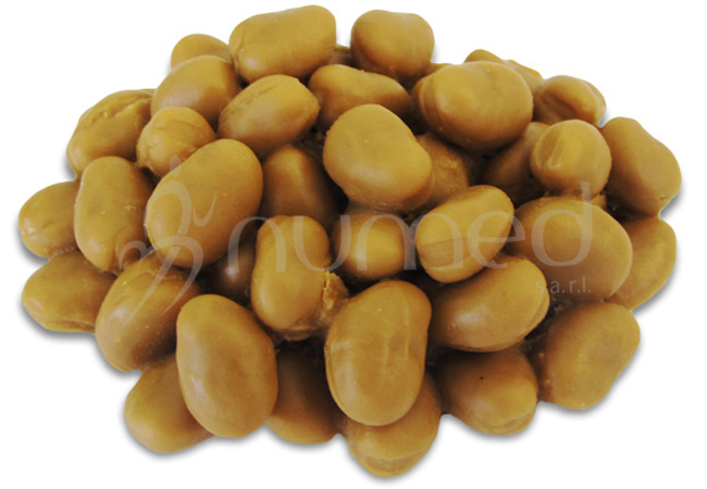 Beans, Fava, cooked