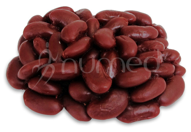 Beans, red, cooked