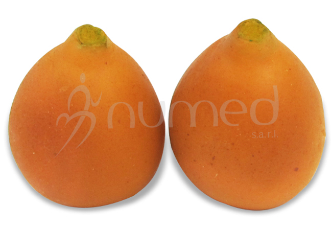 Loquat, medium