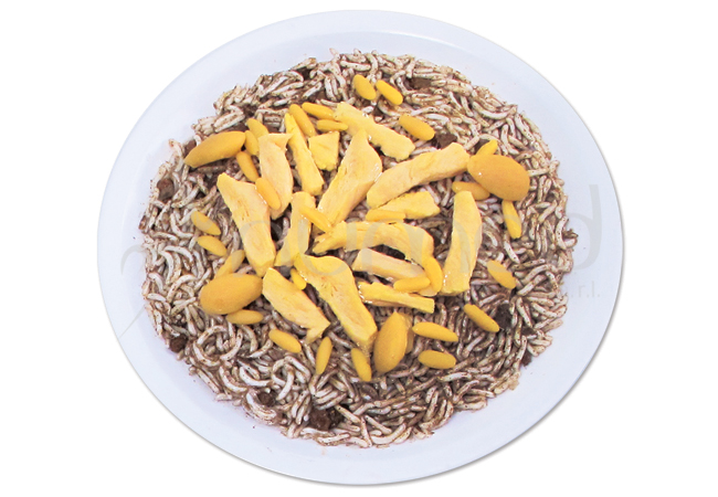 Rice with Chicken, in melamine plate