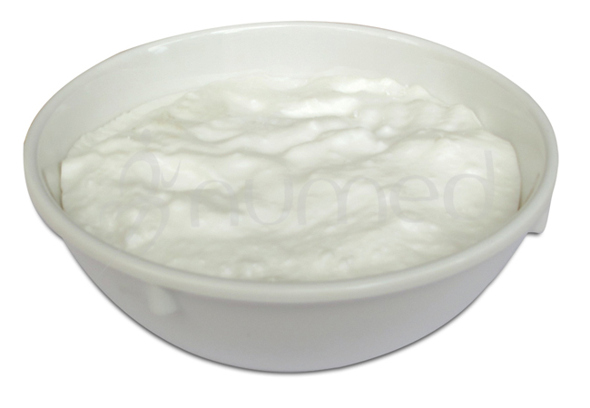 Yogurt, plain, whole, in melamine bowl, 1 cup, 240ml