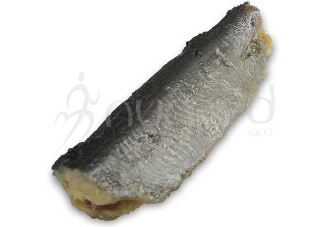 Sardine, canned