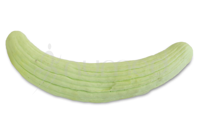 Armenian cucumber