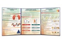[ERF001E] Renal Folding (English)