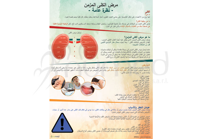Chronic Kidney Disease, Overview Poster (Arabic)