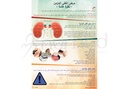 [ERP001AS] Chronic Kidney Disease, Overview Poster (Arabic)