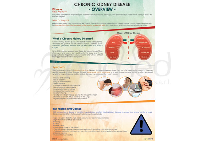 Chronic Kidney Disease, Overview Poster (English)