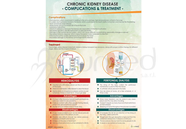 Chronic Kidney Disease, Complications &amp; Treatment Poster (English)