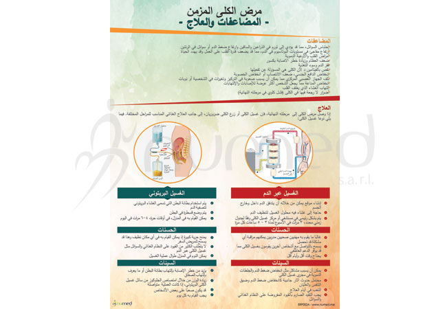 Chronic Kidney Disease, Complications &amp; Treatment Poster (Arabic)