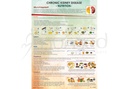 [ERP003ES] Chronic Kidney Disease, Nutrition Poster (English)