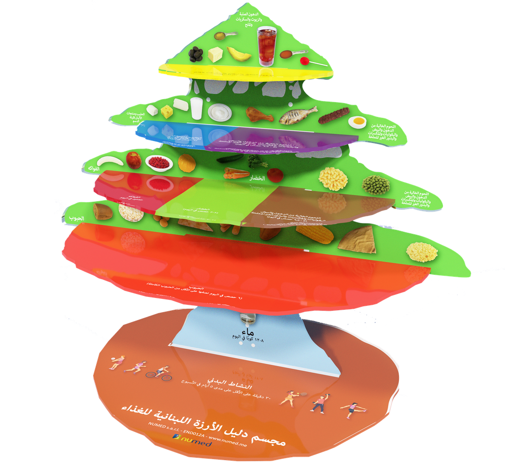 3D Cedar Dietary Guidelines - Arabic