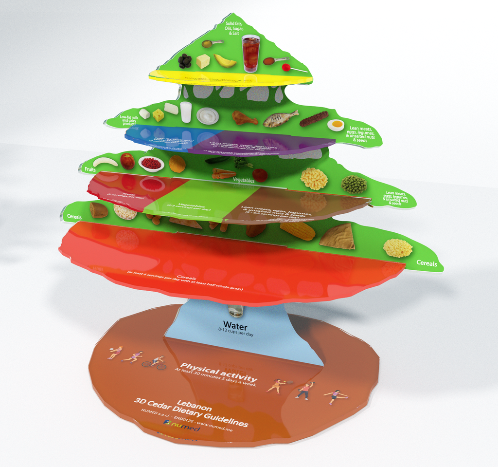 3D Cedar Dietary Guidelines - English