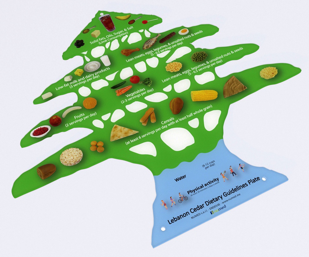 Cedar dietary guidelines display - English