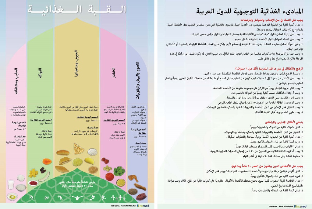Food Dome Dietary Guidelines Handout