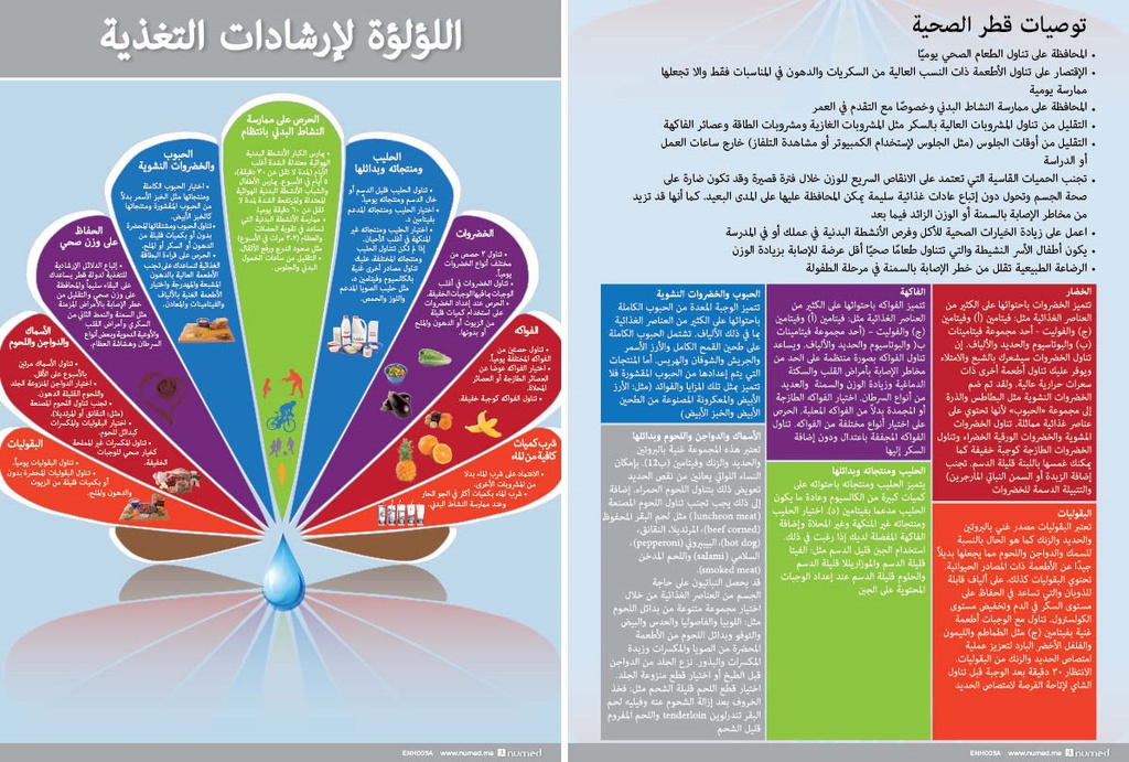 Pearl Dietary Guidelines Handout