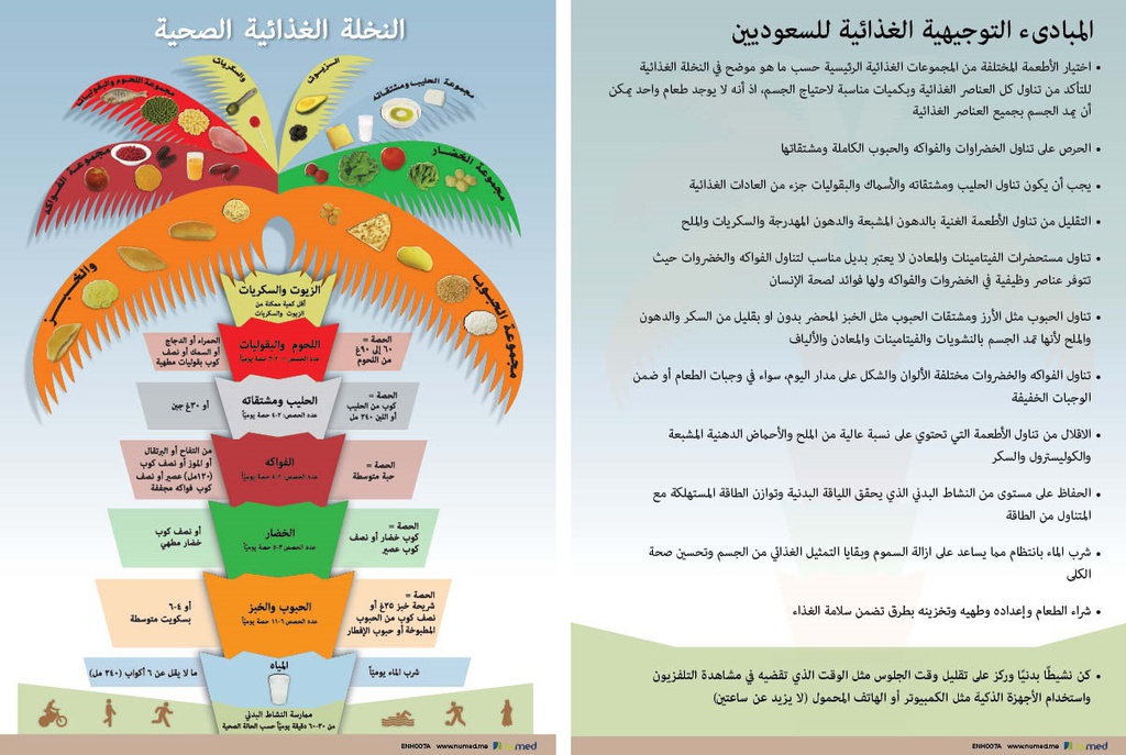 Palm Dietary Guidelines Handout