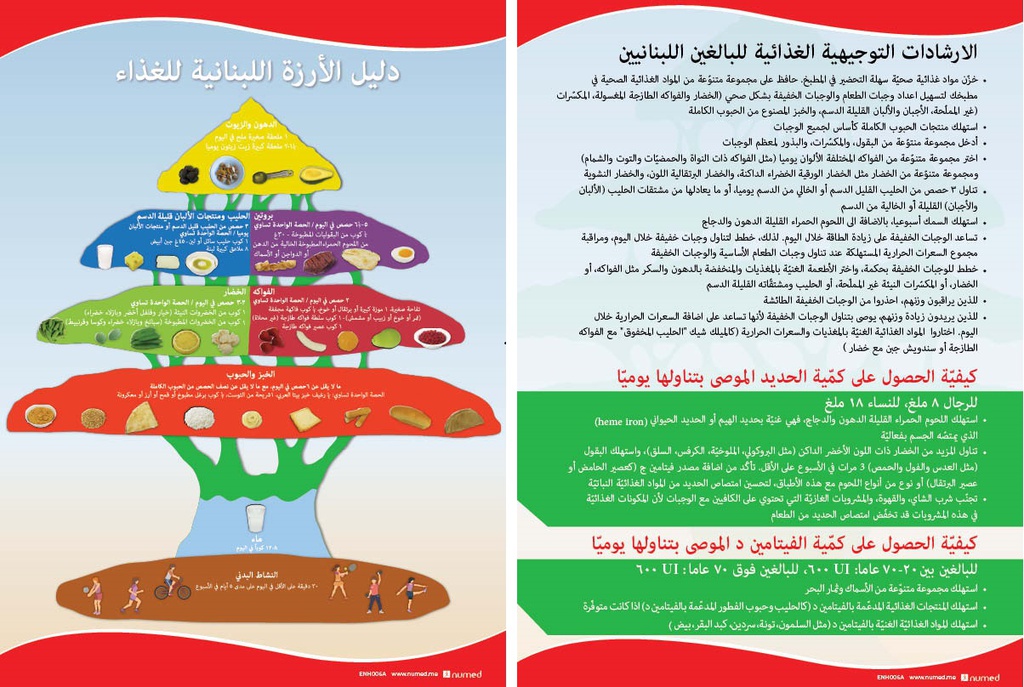 Cedar Dietary Guidelines Handout