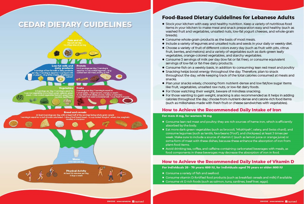Cedar Dietary Guidelines Handout