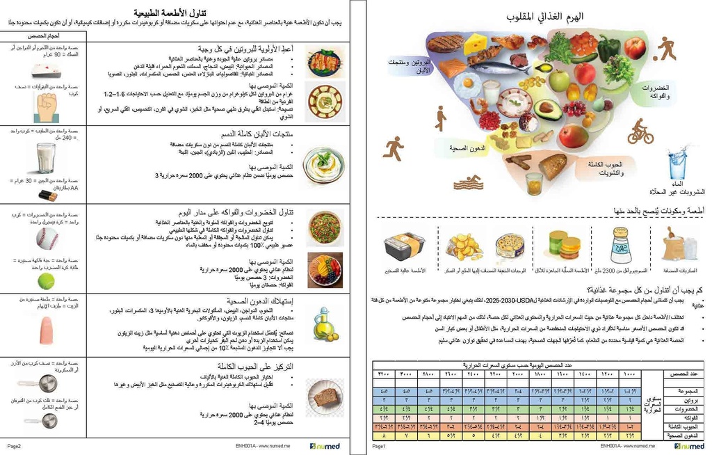 Inverted Pyramid Handout (Arabic) 