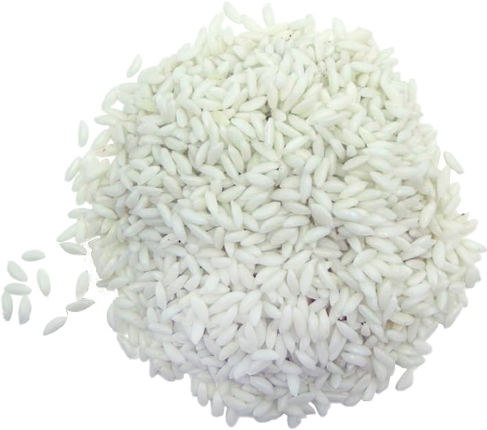 Rice, white, short grain, cooked 