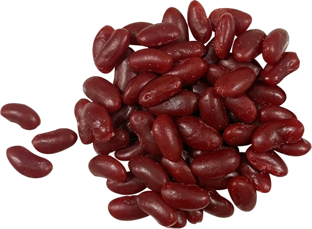Beans, red, cooked