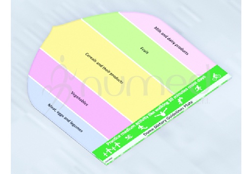 [END008E] Food Dome Dietary Guidelines Plate (English)