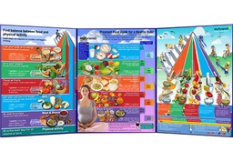 [ENF003E] MyPyramid Life Cycle Folding (English)