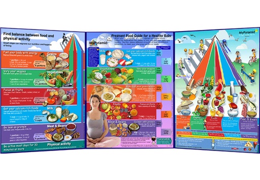 [ENF003E] MyPyramid Life Cycle Folding (English)