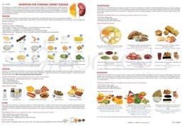 [ERH001E] Nutrition for Chronic Kidney Disease Handout (English)