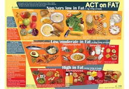 [ENP7EM] Act on Fat Poster (English)