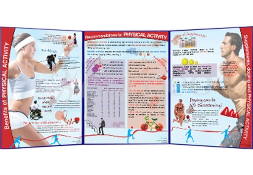 [EPAF001E] Physical Activity Folding (English)