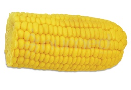 [ENFMGRA28] Corn, cob