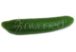 [ENFMVEG8] Cucumber