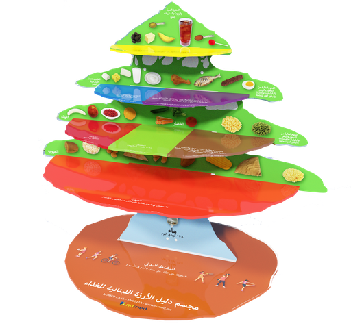 [END012A] 3D Cedar Dietary Guidelines - Arabic