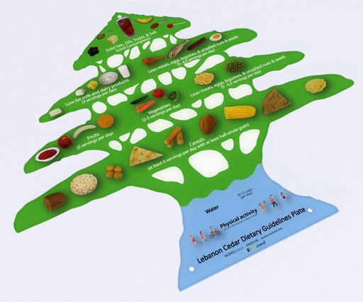 [END016E] Cedar dietary guidelines display - English