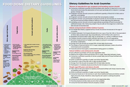 [ENH008E] Food Dome Dietary Guidelines Handout